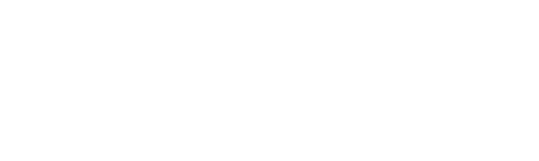 MWM LOJİSTİK SİSTEMLER DIŞ TİCARET LTD.ŞTİ
